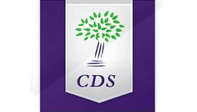 Custom Development Solutions