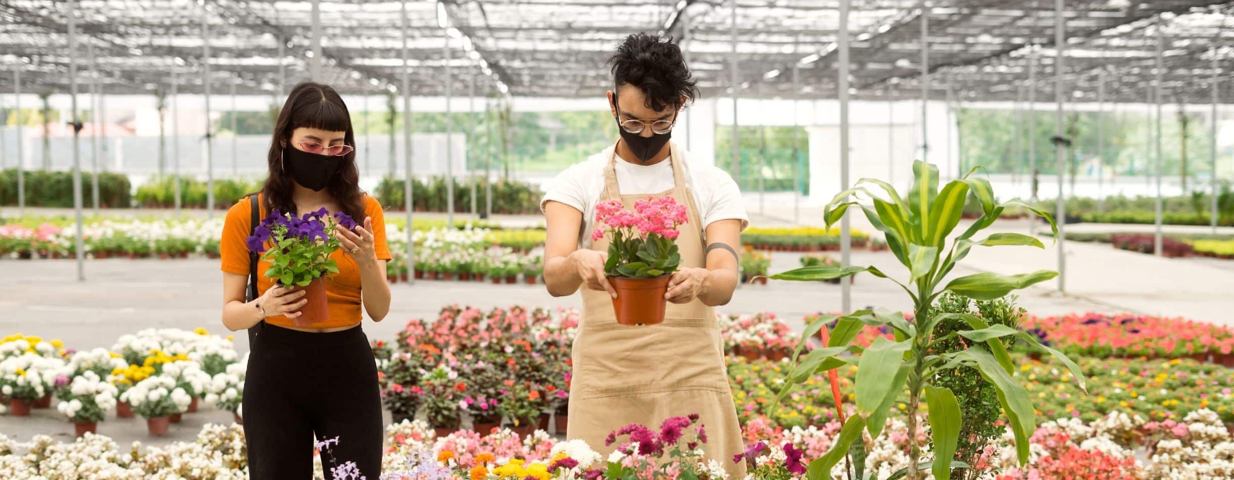 a customer and a worker at a flowerhouse inspect plants