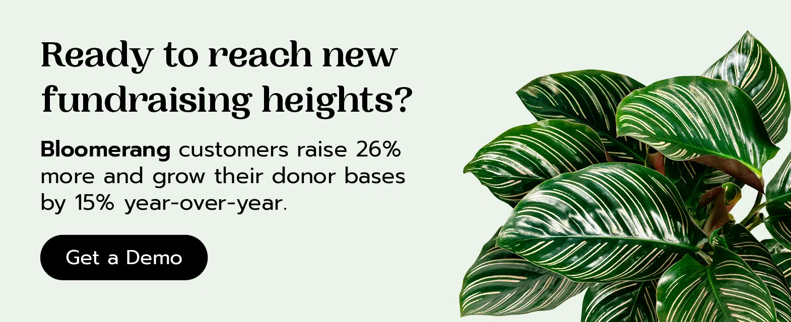 Ready to reach new fundraising heights? Bloomerang customers raise 26% more and grow their donor bases by 15% year-over-year. Get a demo.