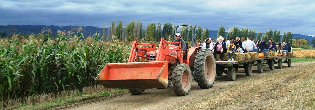 hayride-header