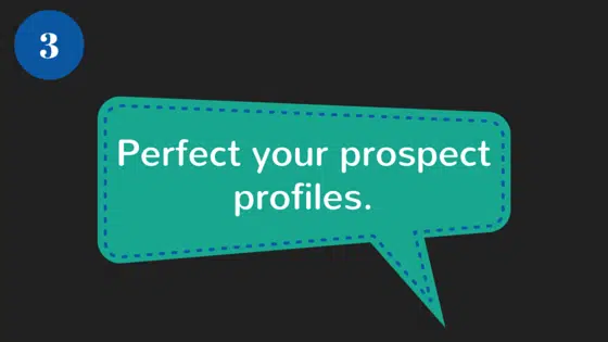 DS_Bloomerang_Perfect your prospect profiles