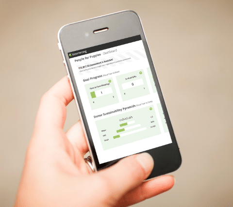 Sustainability Scorecard on Mobile Phone