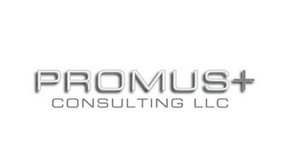PROMUS + Consulting LLC is a nonprofit consulting firm that believes the two denominators to drive work are passion and possibility. 