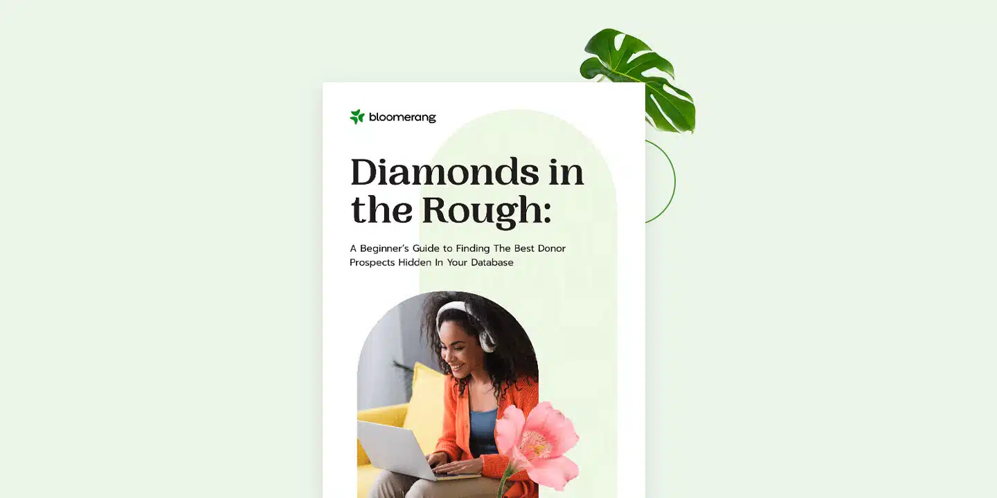 Diamonds in the Rough: A Beginner's Guide to Finding the Best Donor Prospects Hidden in Your Database