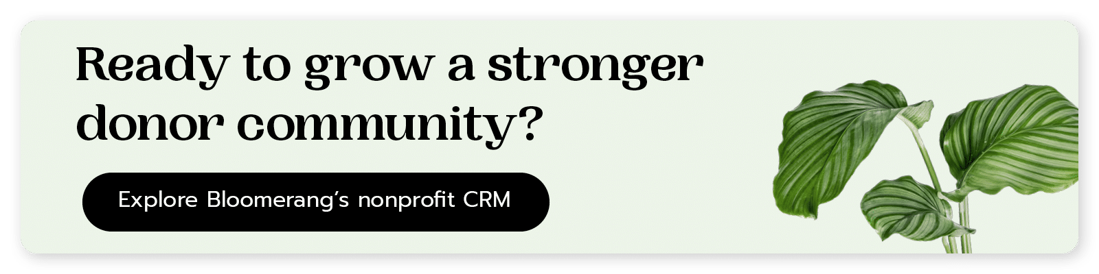 Ready to grow a stronger donor community? Explore Bloomerang’s nonprofit CRM. 