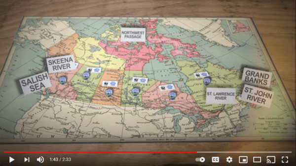 The WWF Canada nonprofit annual report video leverages maps to display their impact. 