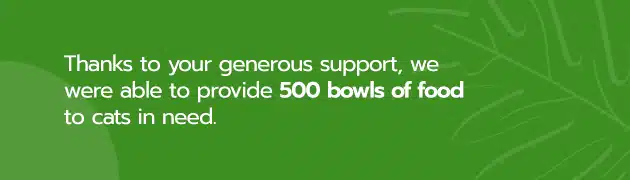 This image says "Thanks to your generous support, we were able to provide 500 bowls of food to cats in need." 
