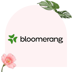 Bloomerang is the best fundraising app.