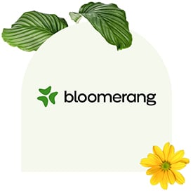 Find out why Bloomerang is one of the best fundraising software options for nonprofits.