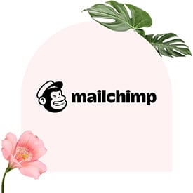 With Mailchimp, you can easily distribute information and reminders about your online fundraisers.