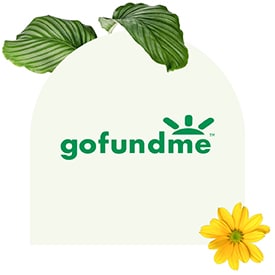 GoFundMe is a crowdfunding platform for organizations and individuals alike. 