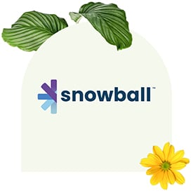Nonprofits can use Snowball Fundraising to collect donations using their websites or text message software.