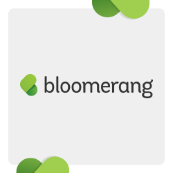 Bloomerang offers the best nonprofit software for all organizations.
