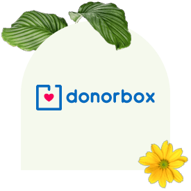 Donorbox is an online fundraising platform that’s focused on facilitating a fast, simple donation process. 