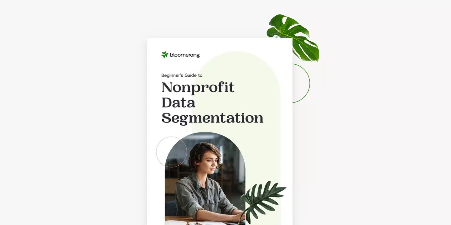 Nonprofit Data Segmentation eBook Banner