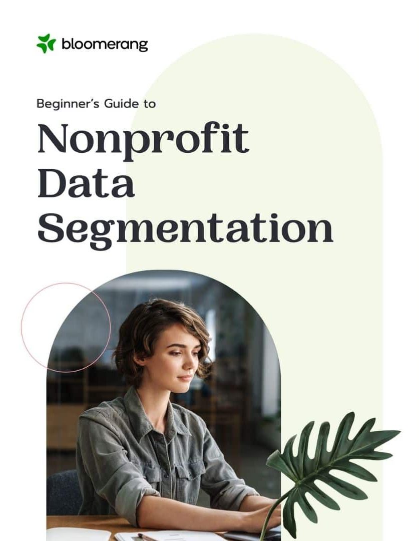 Nonprofit Data Segmentation Ebook