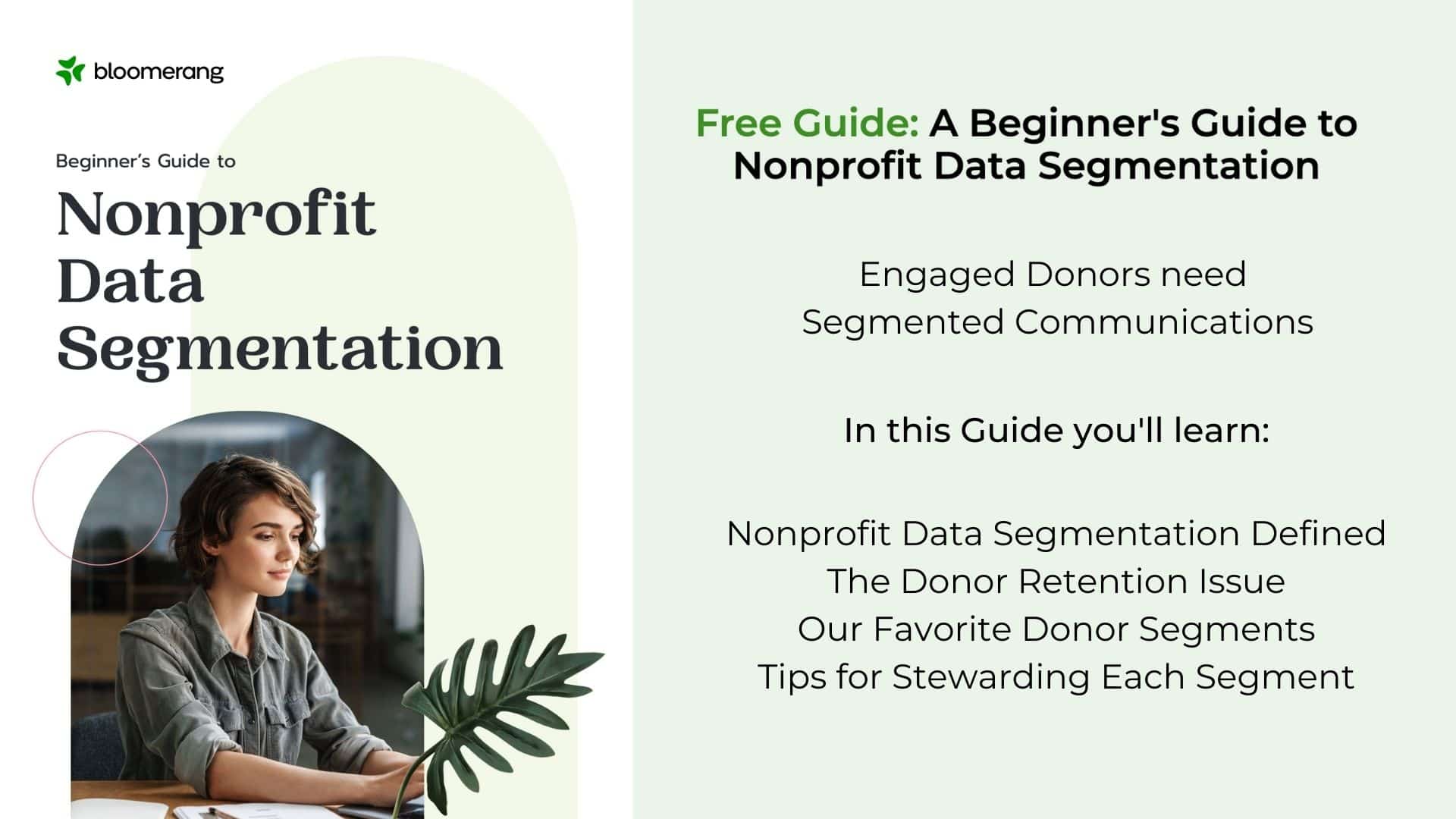 Banner image for the Nonprofit Data Segmentation ebook
