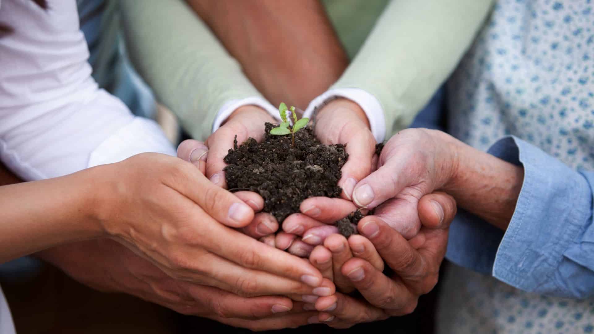 a group of people holding a sapling between each of their hands