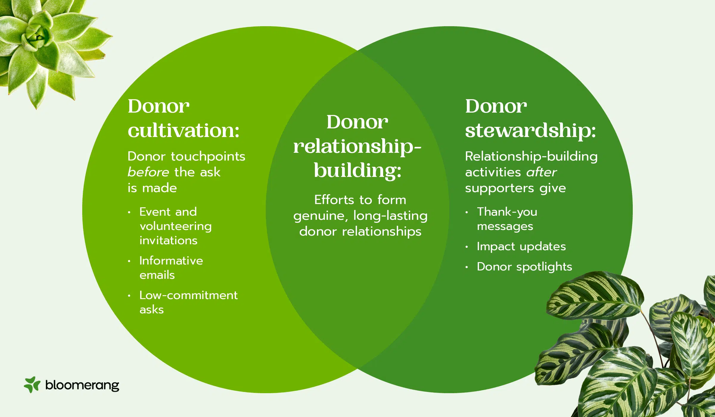 A Venn diagram showing the difference between donor cultivation and stewardship (explained below)