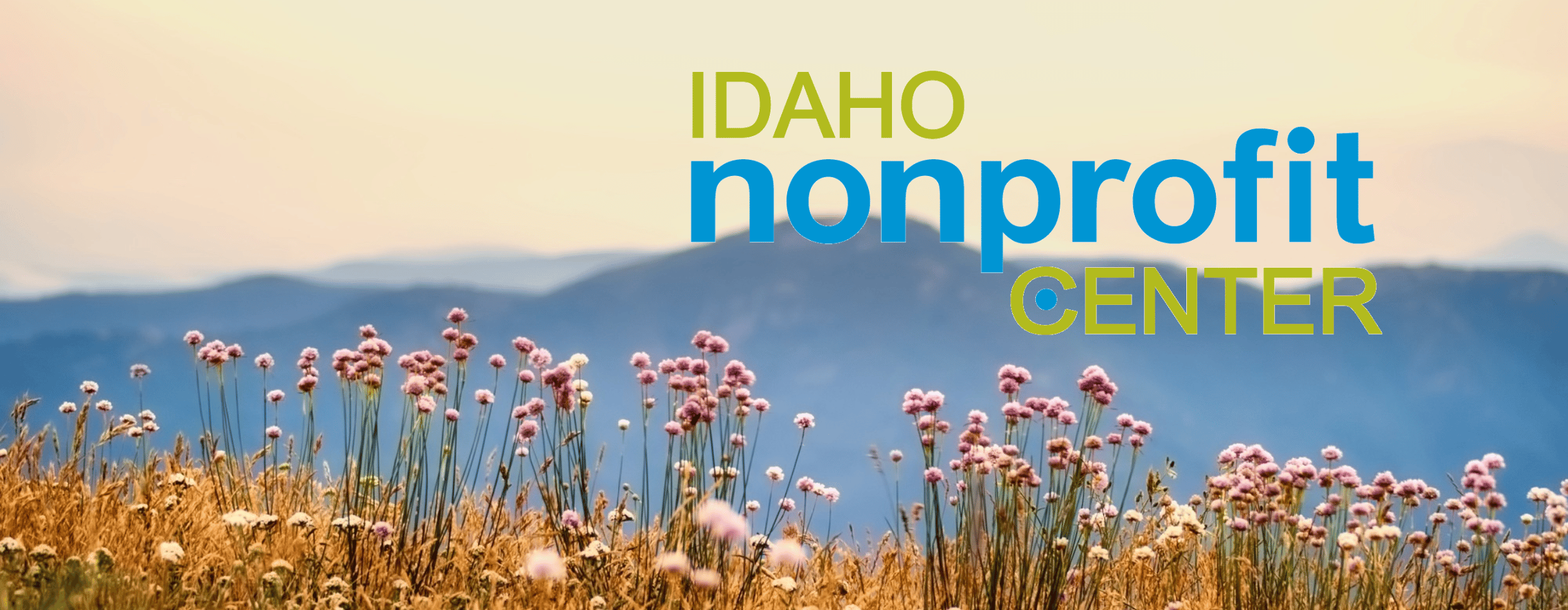 Idaho Nonprofit Center Logo over a field of mountain flowers