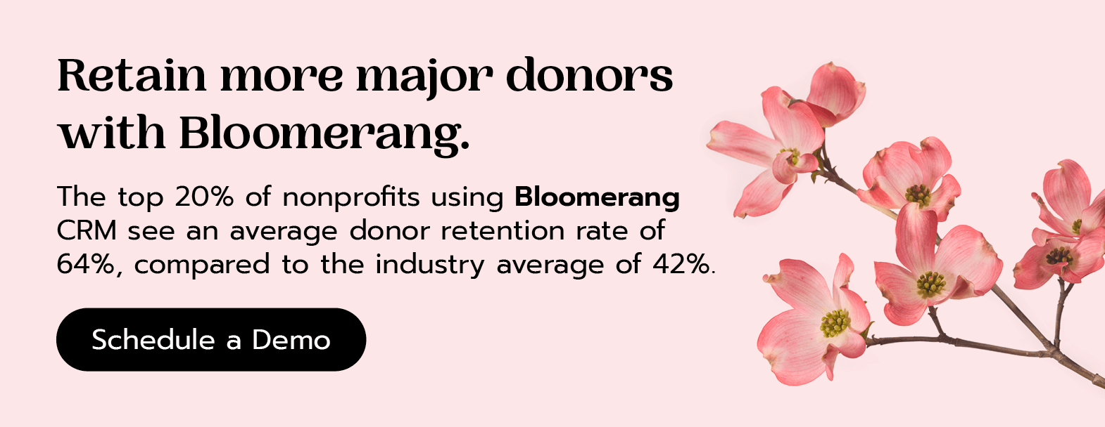 Retain more major donors with Bloomerang. The top 20% of nonprofits using Bloomerang CRM see an average donor retention rate of 64%, compared to the industry average of 42%. Schedule a demo.