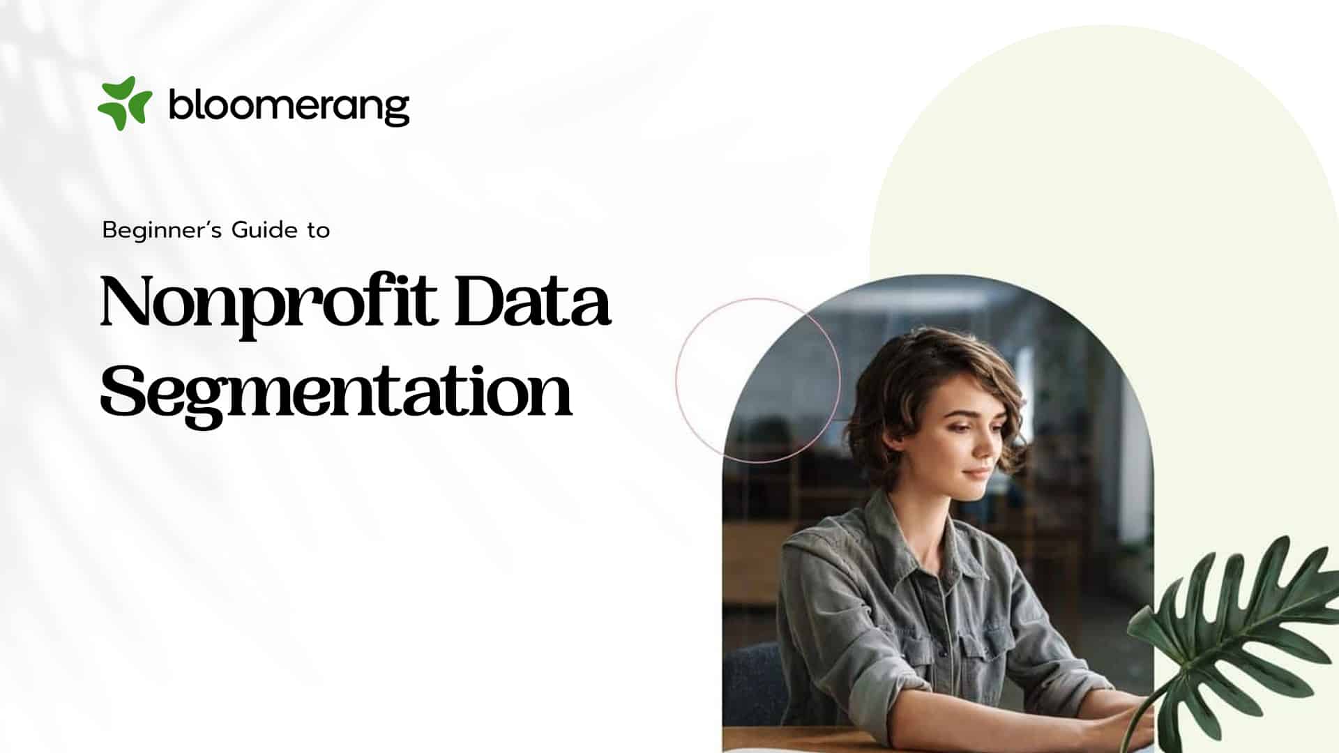 Nonprofit Data Segmentation eBook Banner
