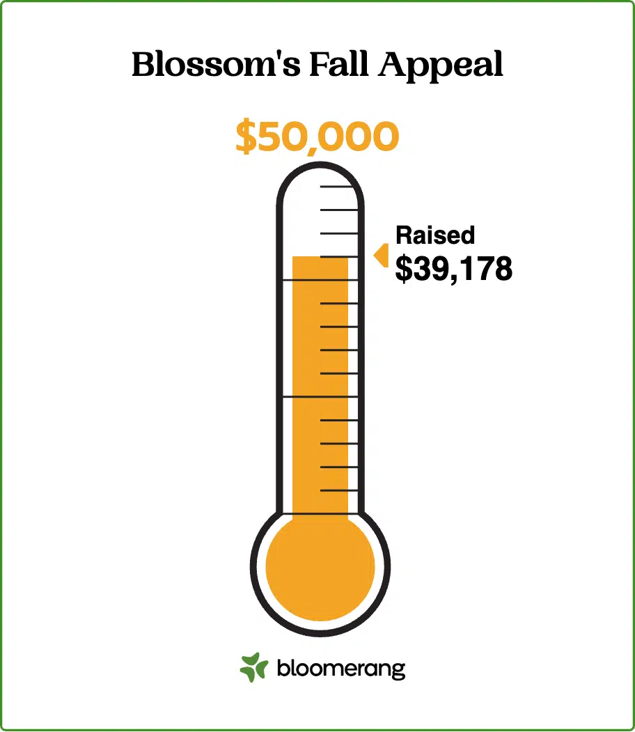 A fundraising thermometer is shown for Blossom's Fall Appeal, highlighting that the nonprofit has raised $36,500 of its $50,000 goal.