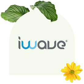 iWave is another nonprofit software solution to help with prospect research. 