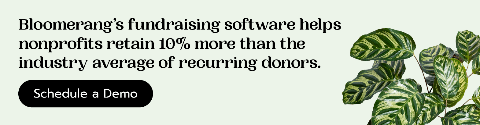 Bloomerang’s fundraising software helps nonprofits retain 10% more than the industry average of recurring donors. Schedule a demo here. 