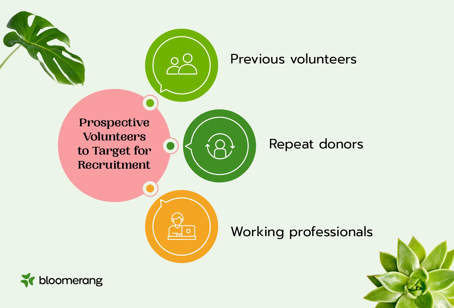 Prospective volunteers to target for recruitment (described below) 