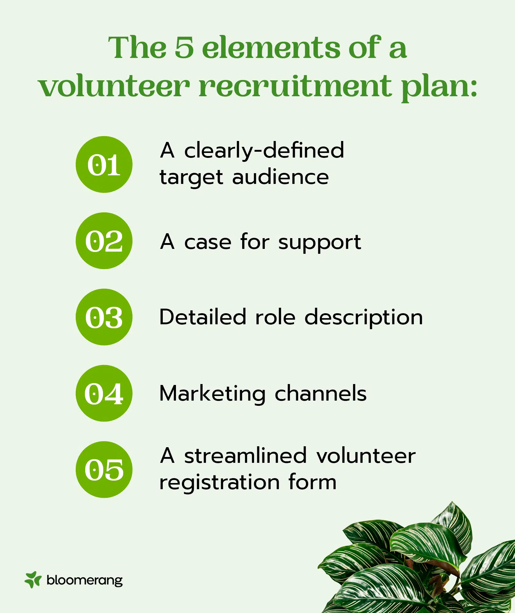 The five elements of a volunteer recruitment plan (explained in the list below) 