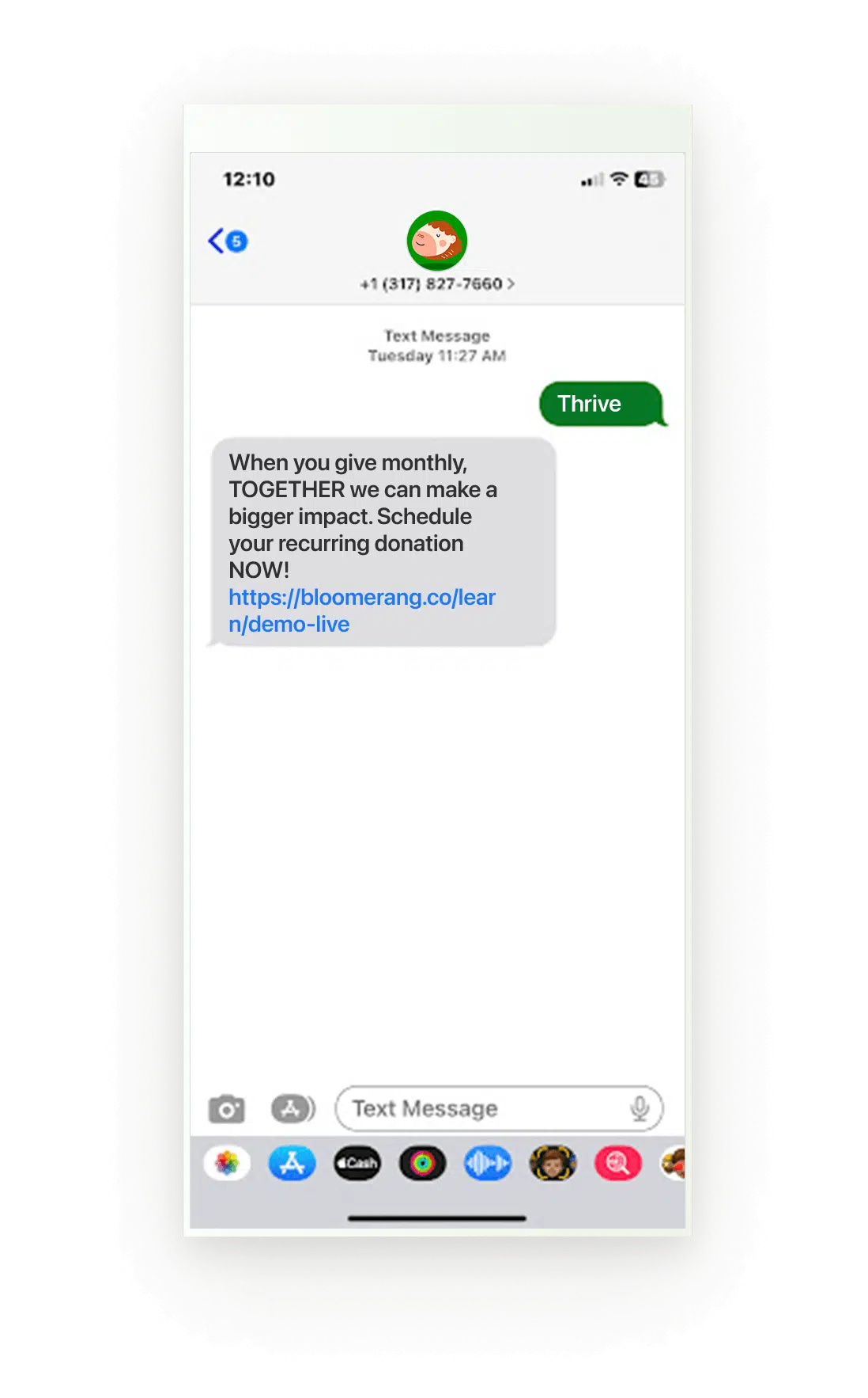 Text to donate mobile preview