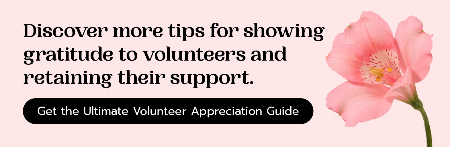 Discover more tips for showing gratitude to volunteers and retaining their support. Get the Ultimate Volunteer Appreciation Guide.