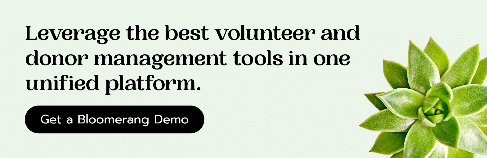 Leverage the best volunteer and donor management tools in one unified platform. Get a Bloomerang demo here.