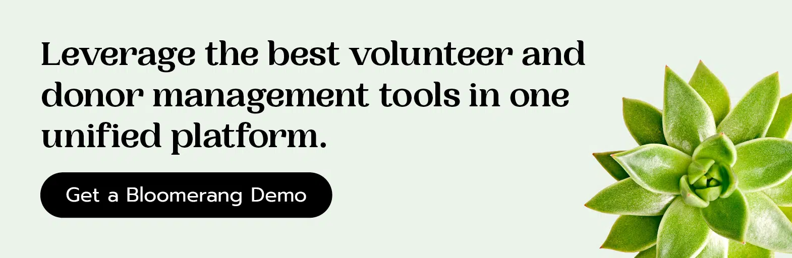 Leverage the best volunteer and donor management tools in one unified platform. Get a Bloomerang demo here.