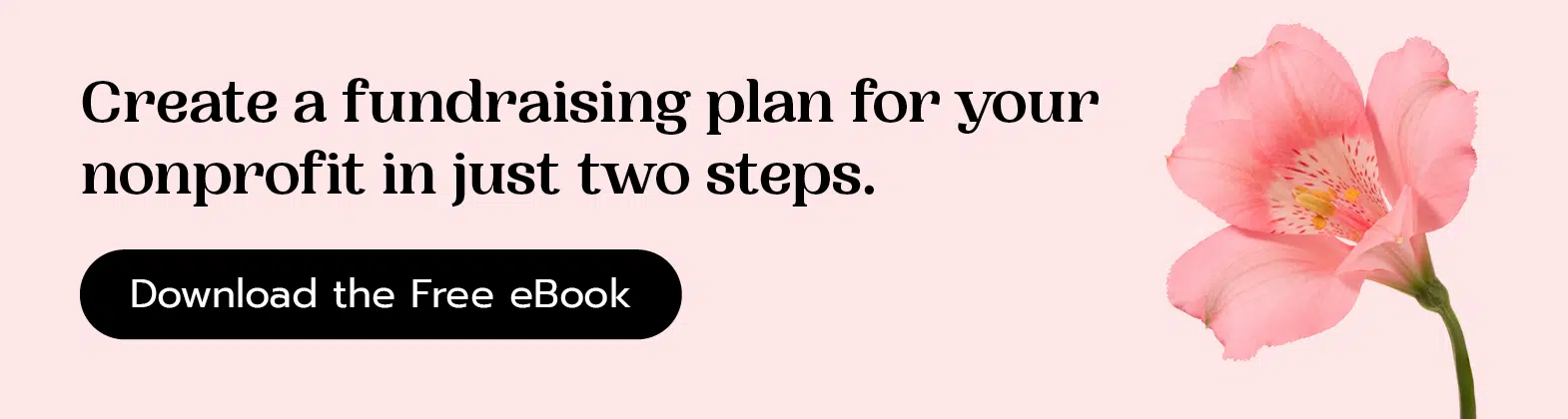 Create a fundraising plan for your nonprofit in just two steps. Download the free eBook.