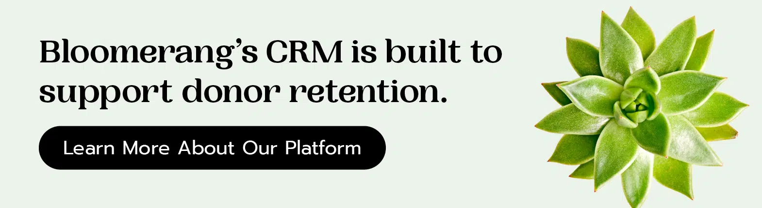 Bloomerang’s CRM is built to support donor retention. Learn more about our platform.