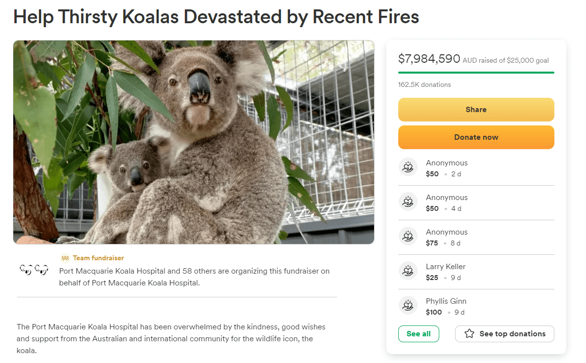 This is an example of an online crowdfunding campaign to support koalas impacted by wildfires.