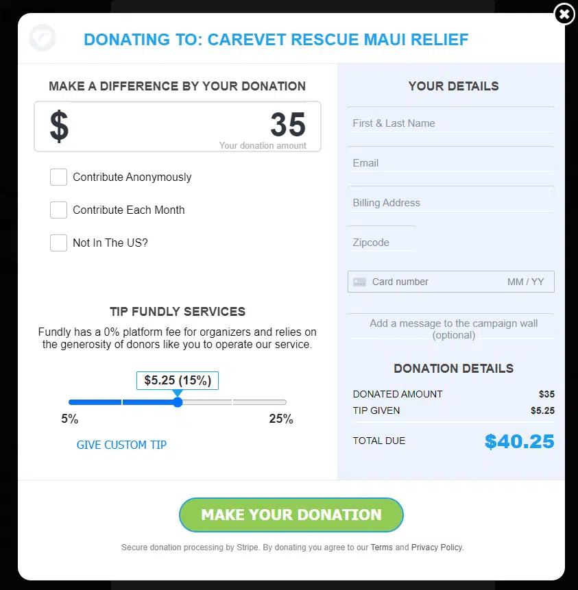 This screenshot shows an example of a donation page made on Fundly, a top fundraising website for nonprofits. 