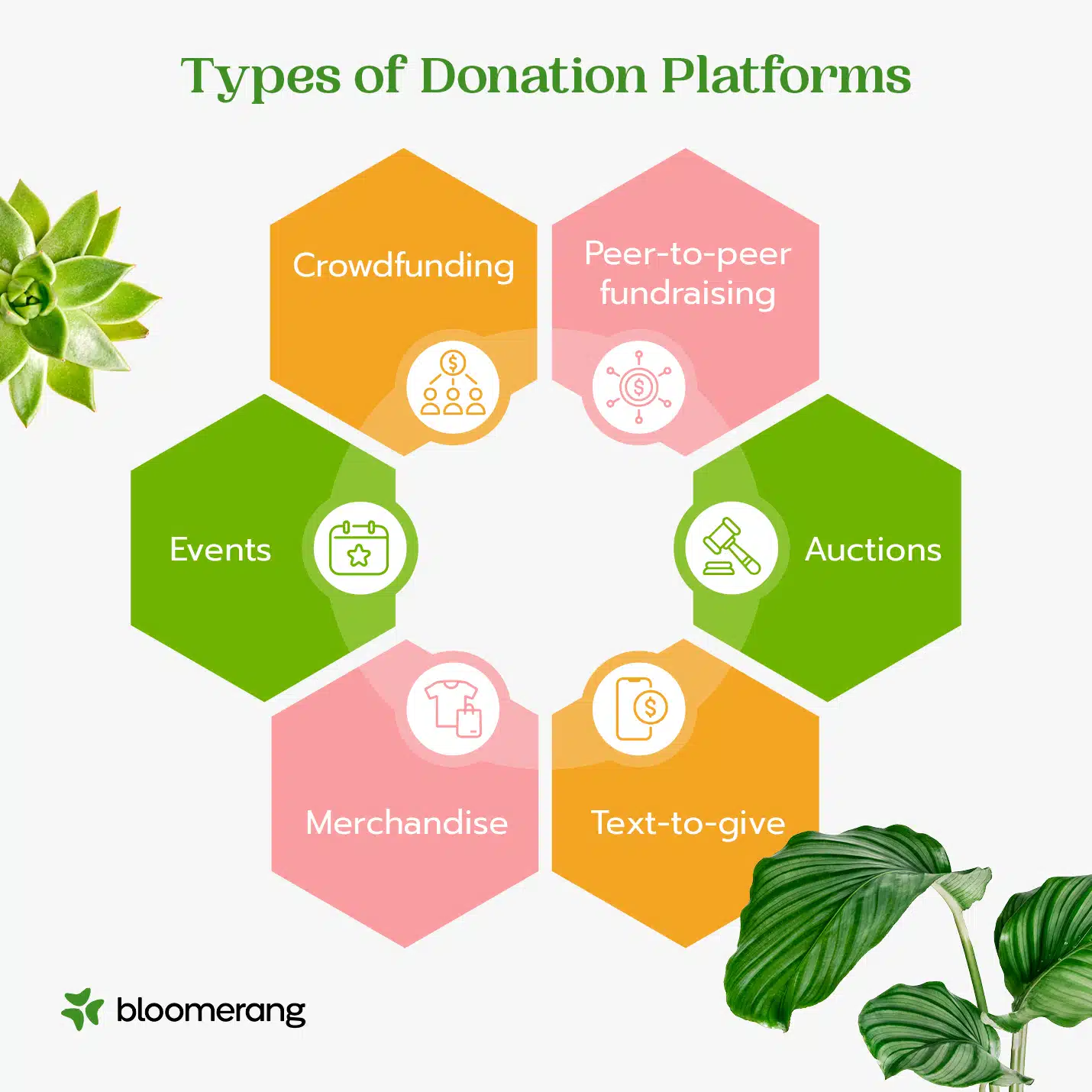 Types of donation platforms (explained in the list below) 