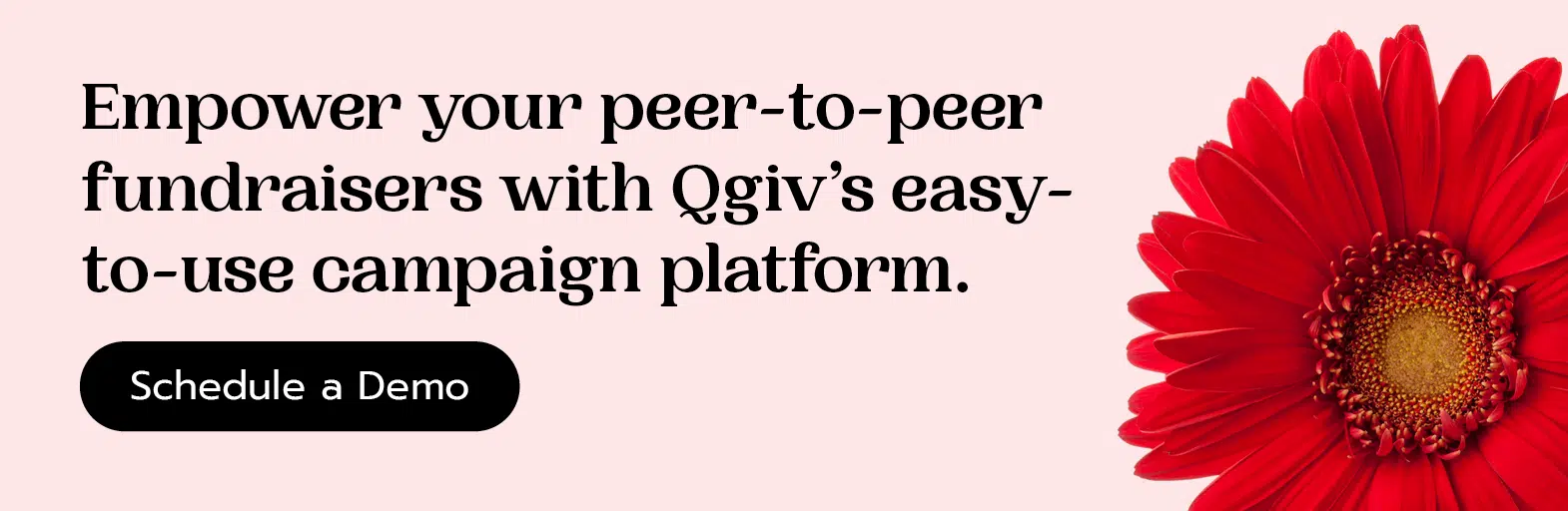 Empower your fundraisers with Qgiv's easy-to-use fundraising platform. Schedule a demo here. 