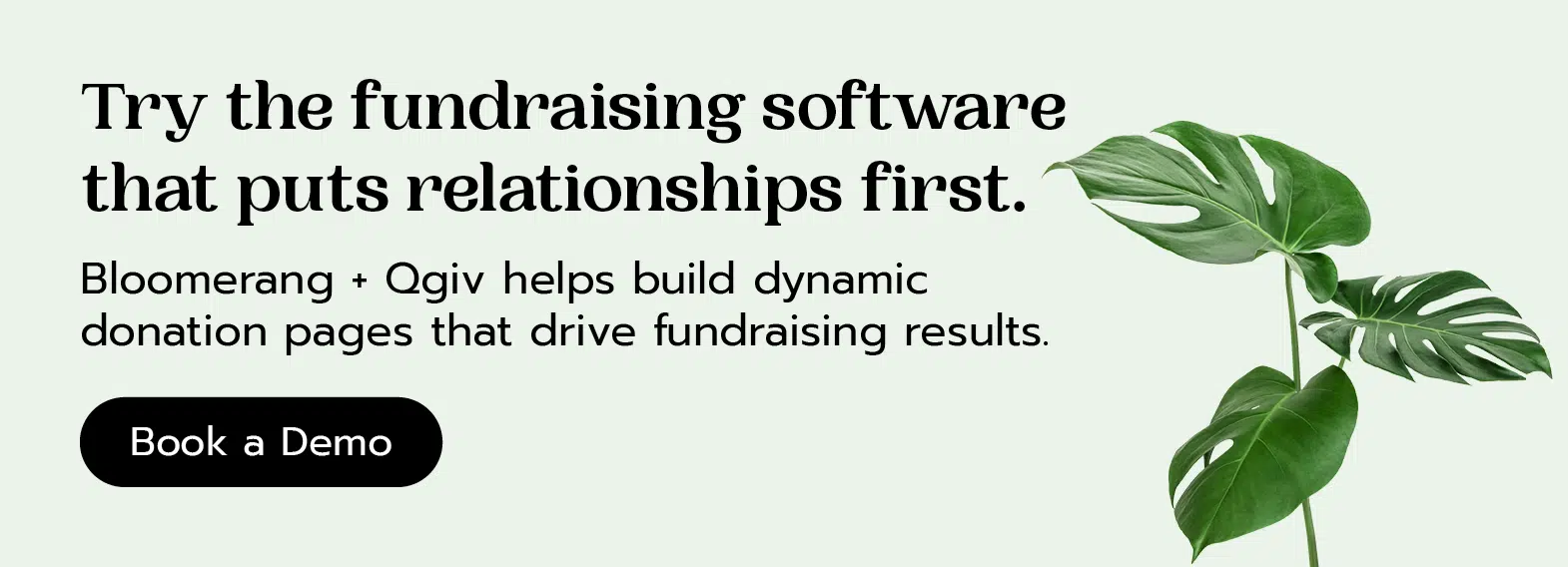 Try the fundraising software that puts donor relationships first. Book a Bloomerang + Qgiv demo here. 