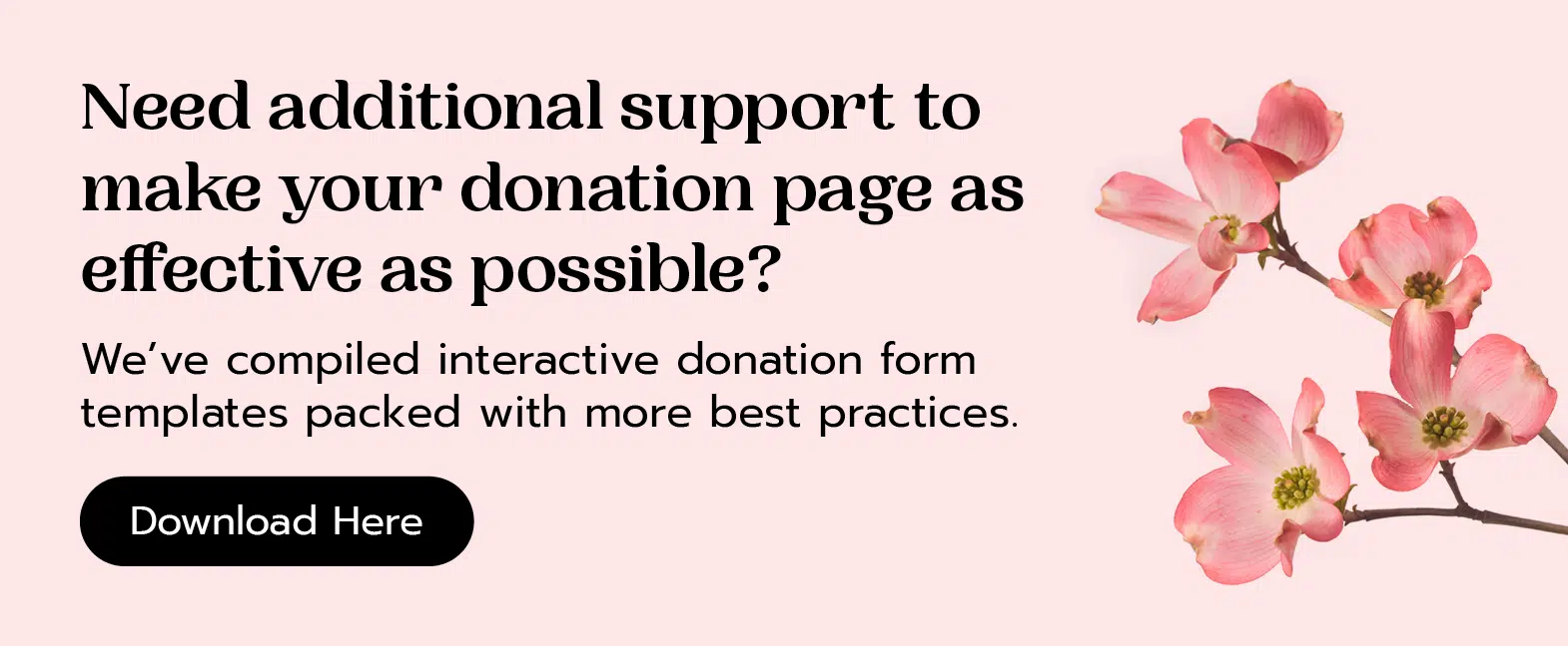 Download our interactive donation page templates packed with best practices. 