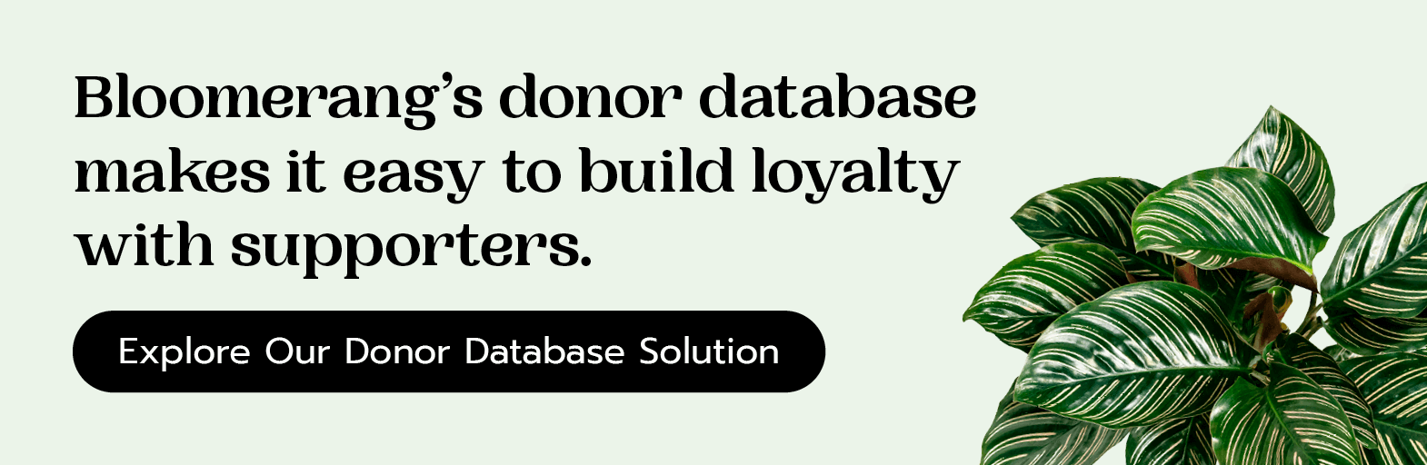 Bloomerang’s donor database makes it easy to build loyalty with supporters. Explore our donor database solution.