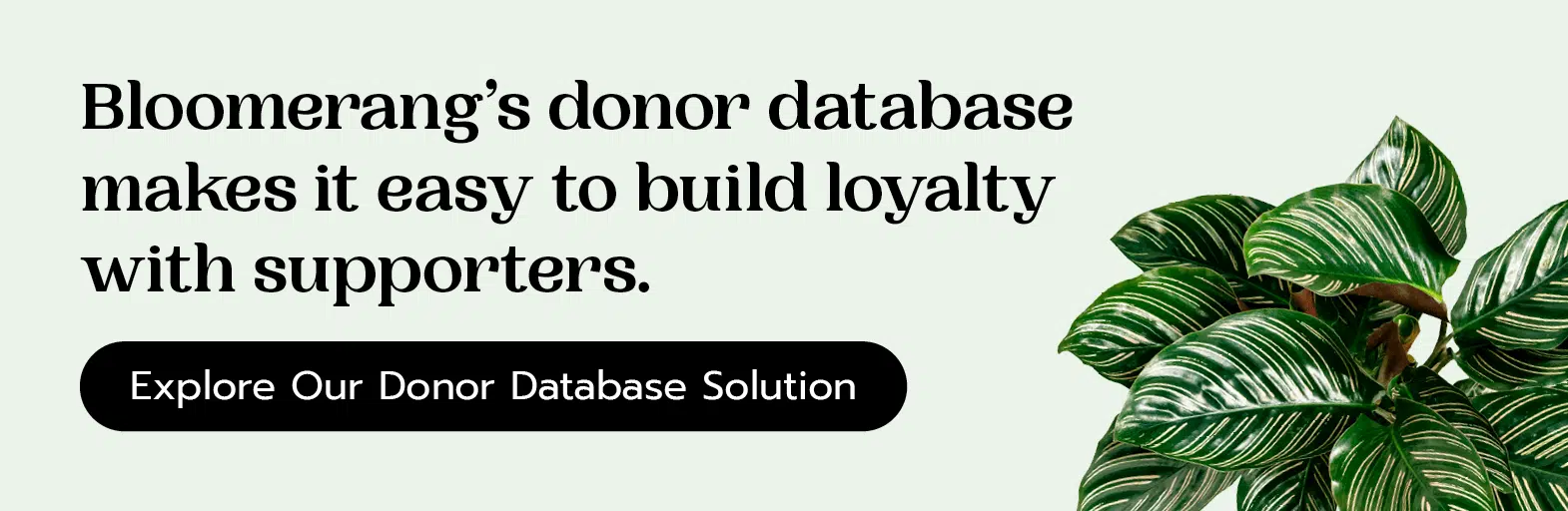 Bloomerang’s donor database makes it easy to build loyalty with supporters. Explore our donor database solution.