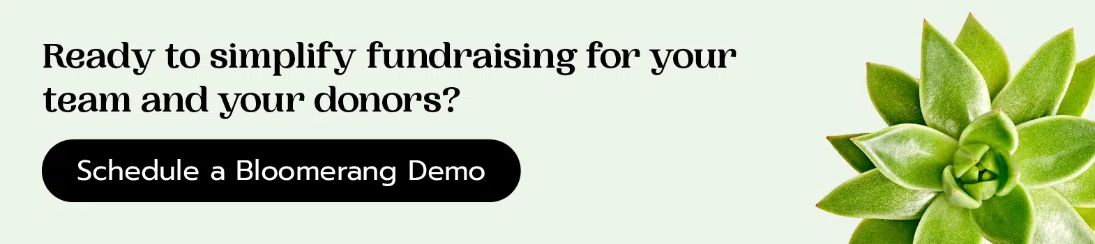 Ready to simplify fundraising for your team and your donors? Schedule a Bloomerang demo by clicking here.