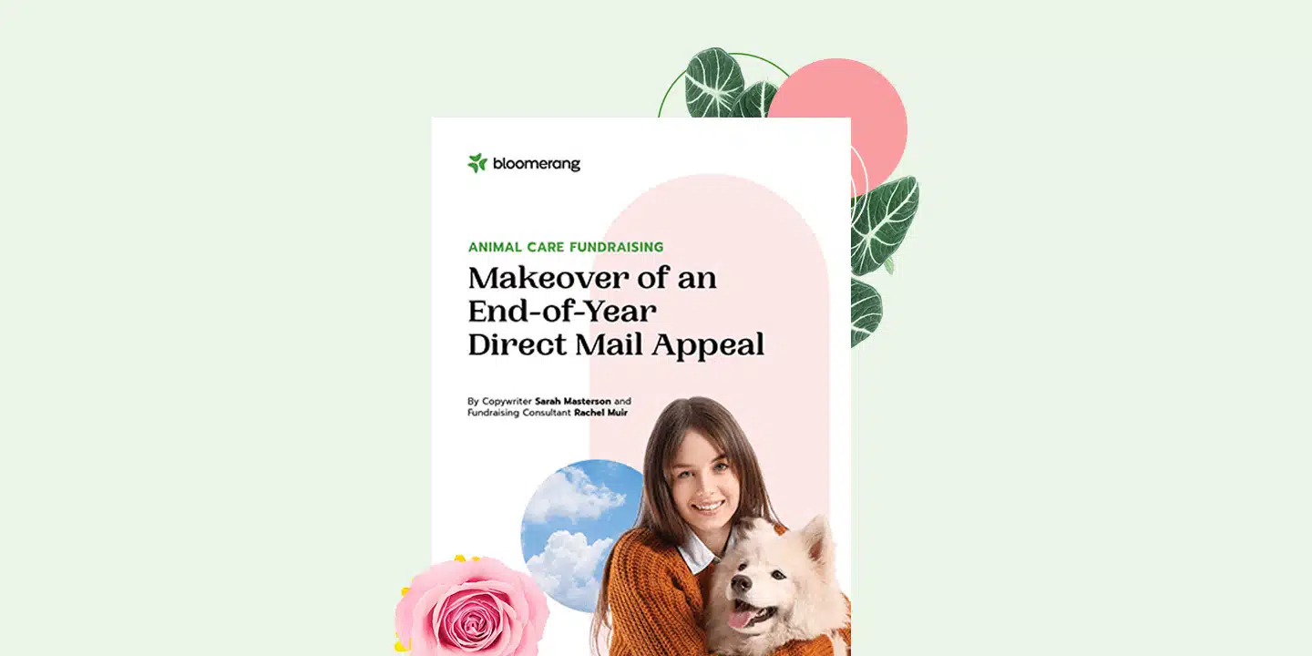 Animal Care Fundraising: Makeover of an End-of-Year Direct Mail Appeal