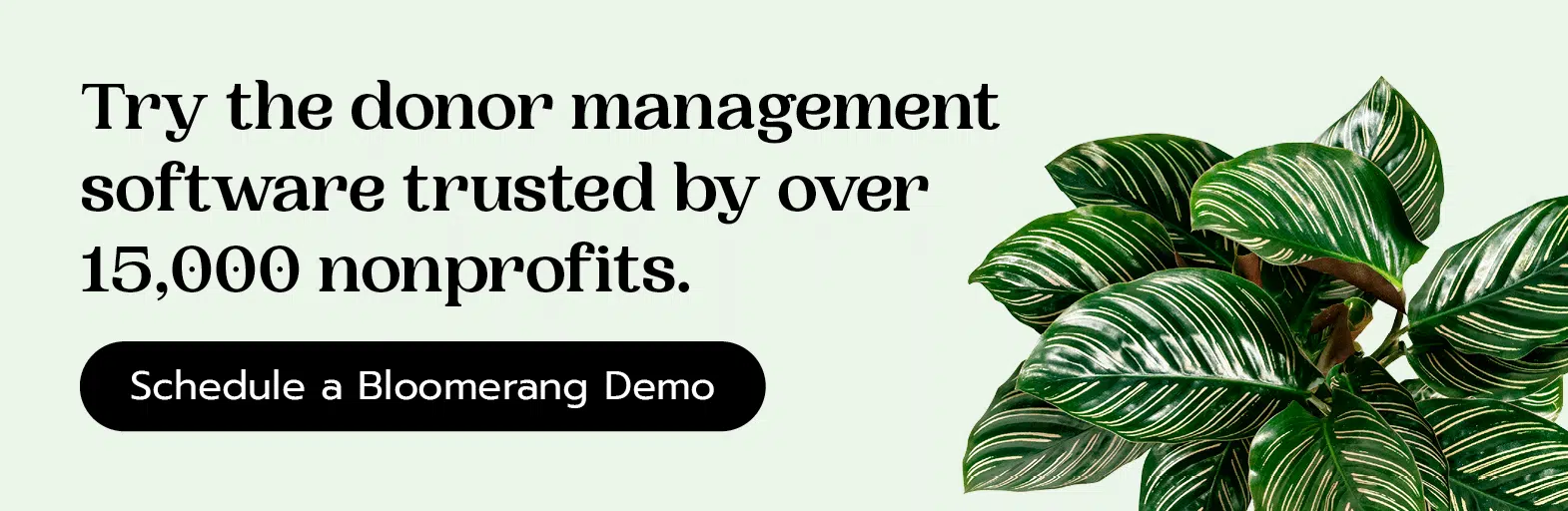 Try the donor management software trusted by over 15,000 nonprofits. Schedule a Bloomerang demo here.