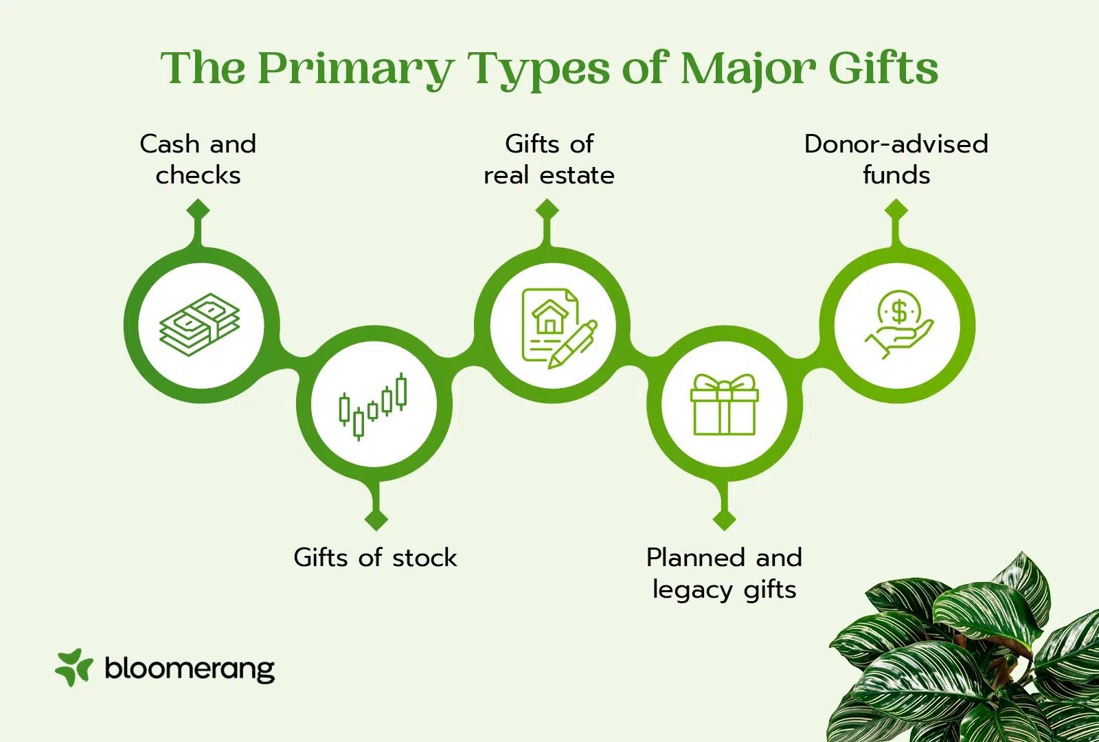 The primary types of major gifts (explained in the sections below) 