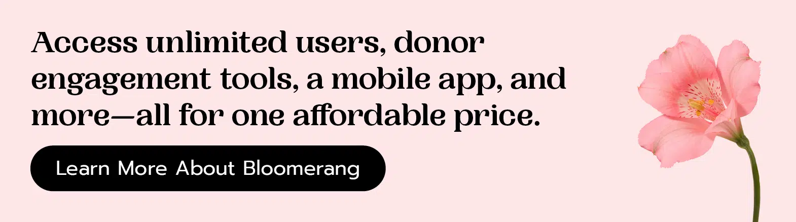 Access unlimited users, donor engagement tools, a mobile app, and more—all for one affordable price. Learn More About Bloomerang.